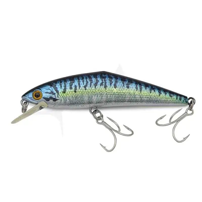 Smith D-Contact Saltwater Offre Limitée