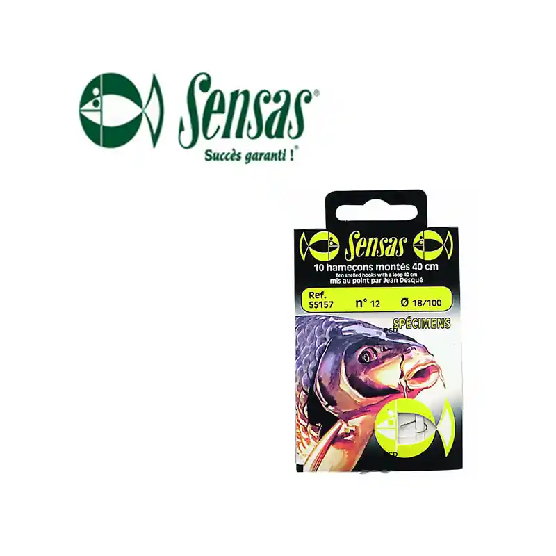HAMECONS MONTES SENSAS SPECIMEN 40CM Vente Directe
