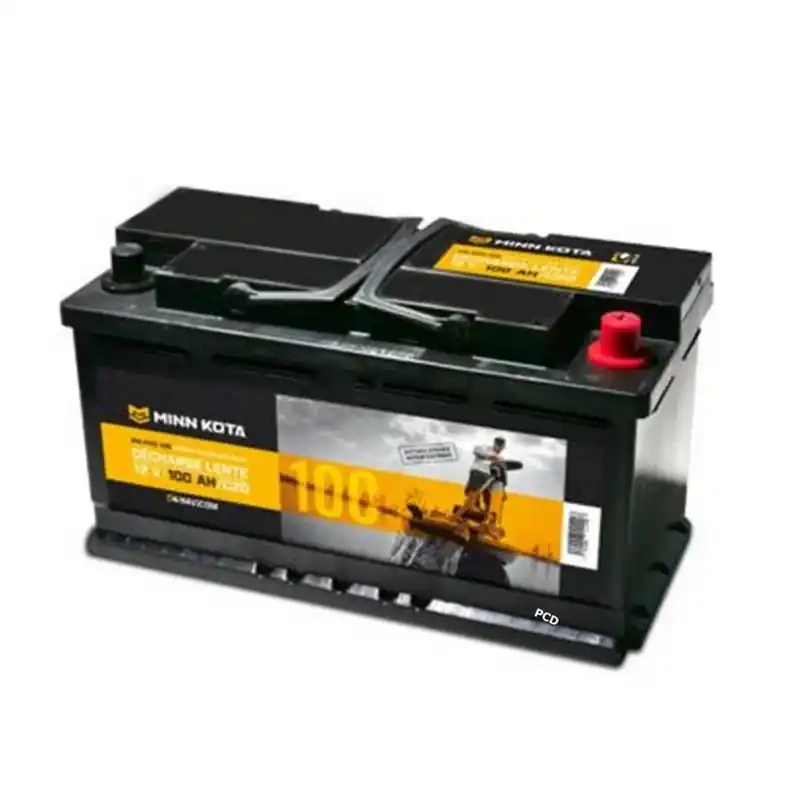 Commande En Gros Batterie à Décharge Lente Minn Kota Pro 12V 100Ah