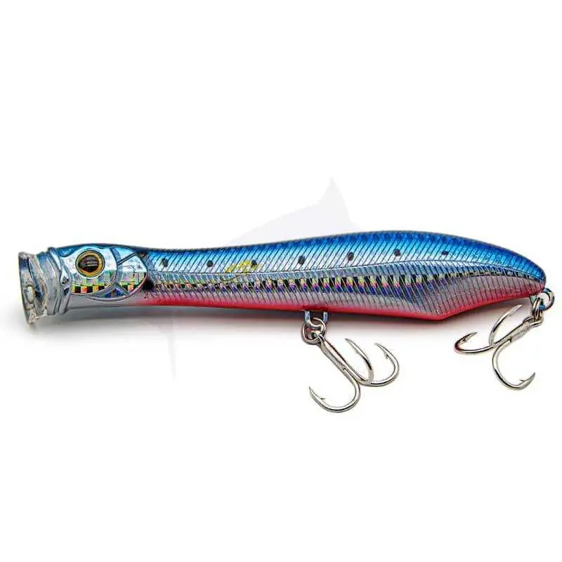Xorus Popchinko 140 Populaire