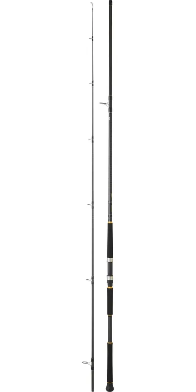 Canne Daiwa Legalis Shore jigging Haute Qualité