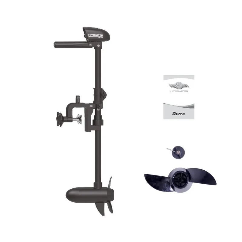 Expédition Rapide Moteur électrique Haswing W 20