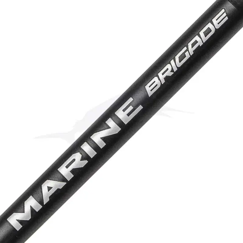 Penn Marine Brigade Dentex Dernier Modèle