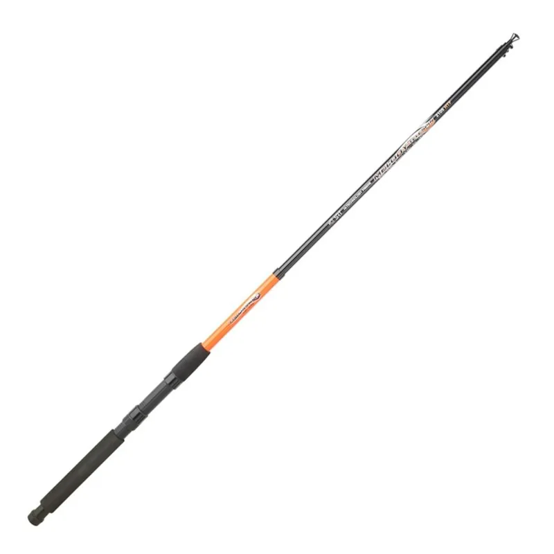 Dernière Chance Sert canne Fish Instinct Melody Telespin 2,10m