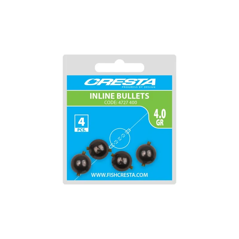 Expédié Aujourd&rsquo;hui Cresta inline bullet