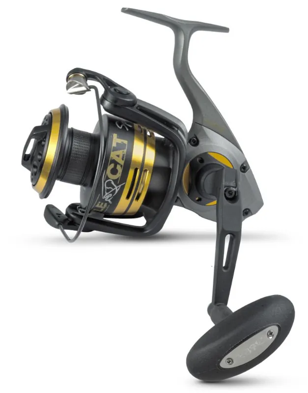 Remise Moulinet Spinning Black Cat Spin fd