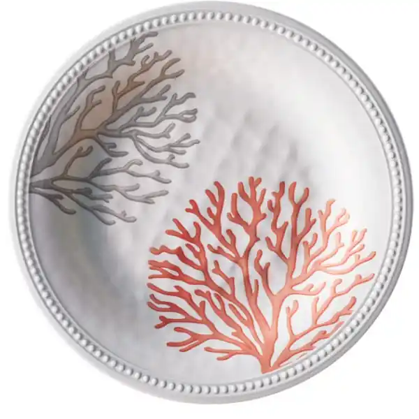 Assiette Plate Marine Business – Collection Harmony Mare Coral – 6 pièces Solde